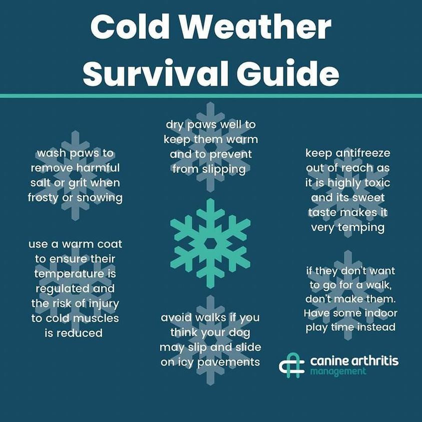 Cold Weather Survival guide post thumbnail image