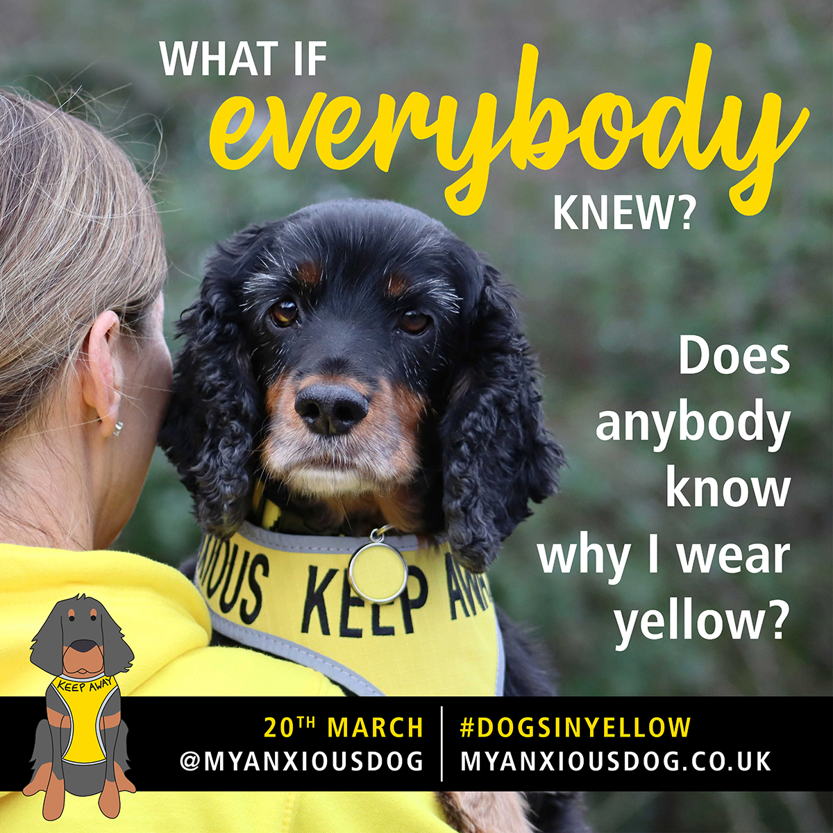 Dogs in Yellow – 20th March 2023 post thumbnail image