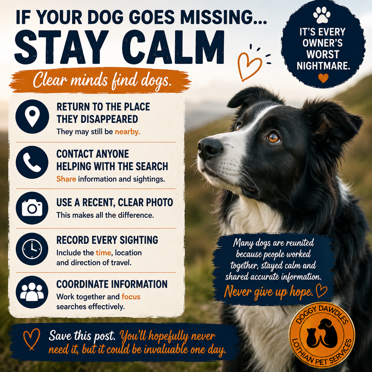 missing dog...stay calm